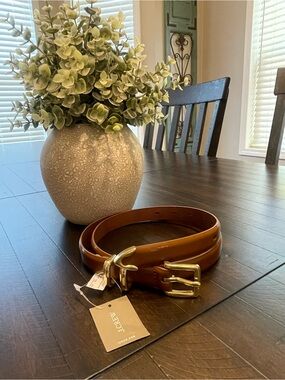 J. Crew Pair of Brown Leather Skinny Belts with Gold Buckles